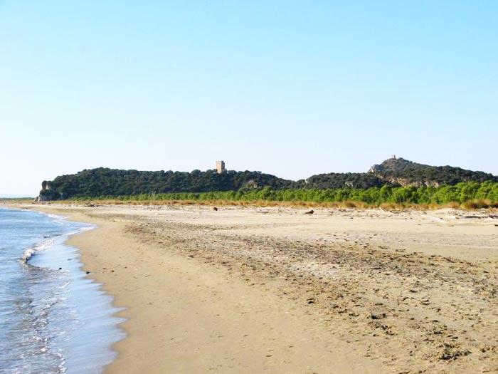 Il Parco Della Maremma Buon Esempio Contro Gli Ungulati