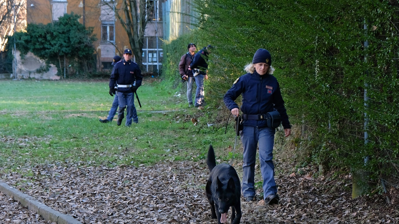 Cane poliziotto al lavoro (foto d'archivio)