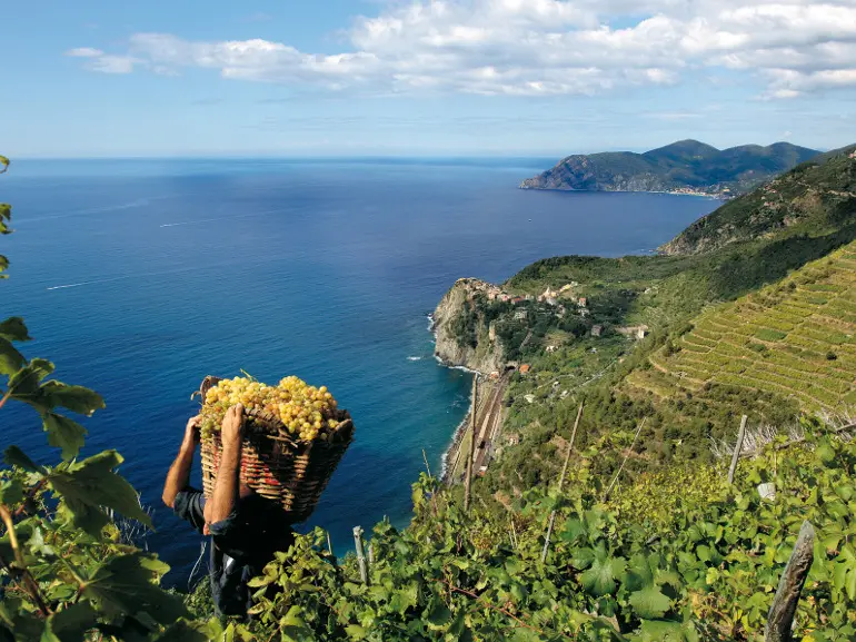 Le vinacce di Monterosso per contrastare il morbo di Parkinson