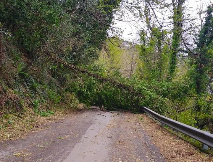 Frana in strada: tragedia sfiorata