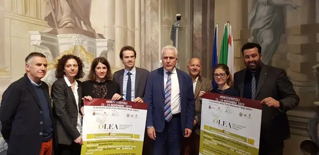 Olea Project: dal campo al frantoio, tutto sull'olio entra vergine d'oliva