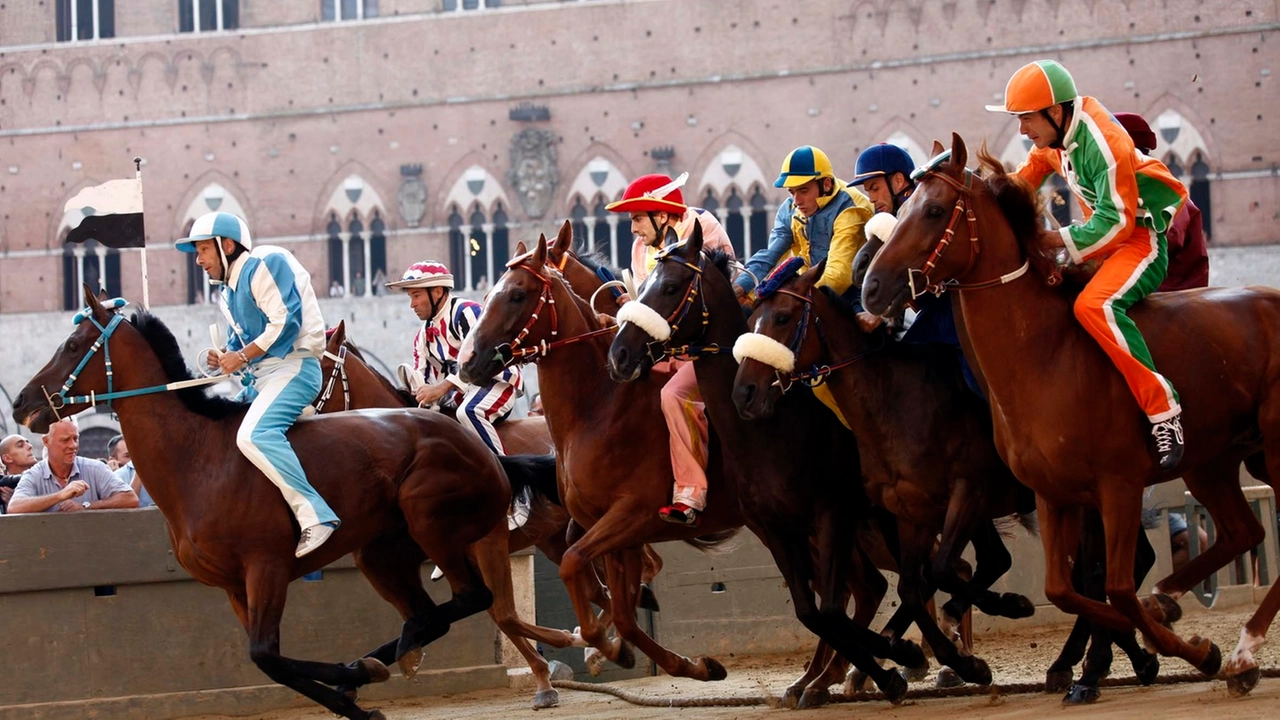 Il Palio di Siena (foto Lazzeroni)