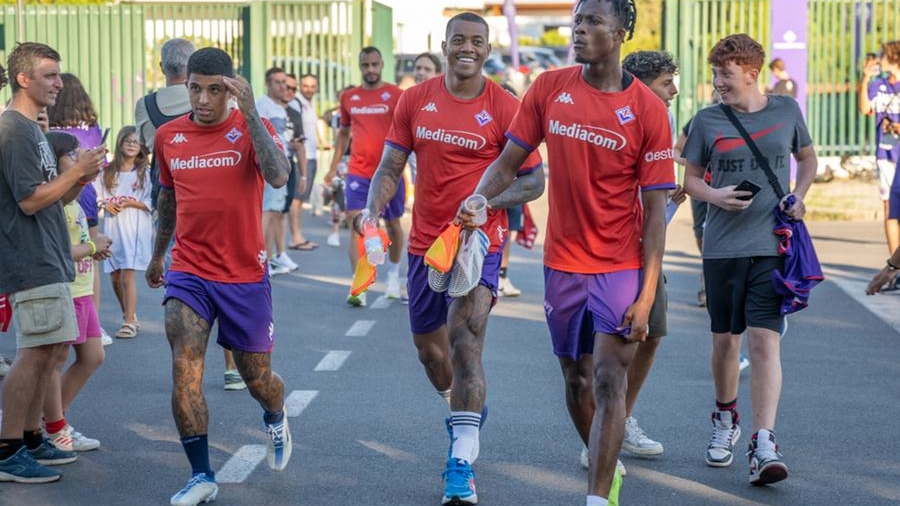 La Fiorentina nell'allenamento di martedì 23 agosto (Fotocronache Germogli)