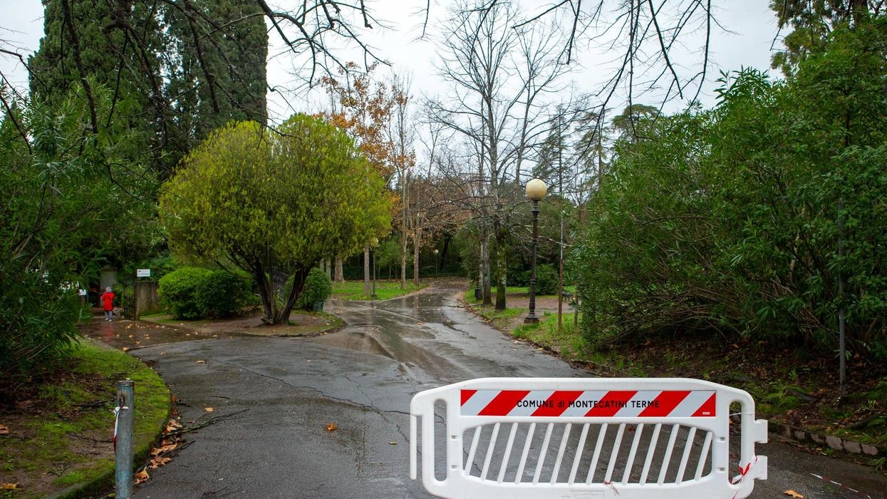 Alberi stesi dal maltempo. Danni per 90mila euro