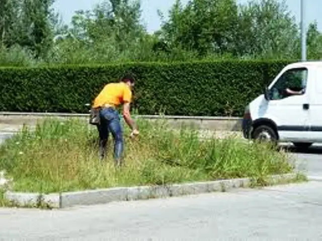 Tagli l'erba su un'area pubblica? il Comune ti paga la benzina