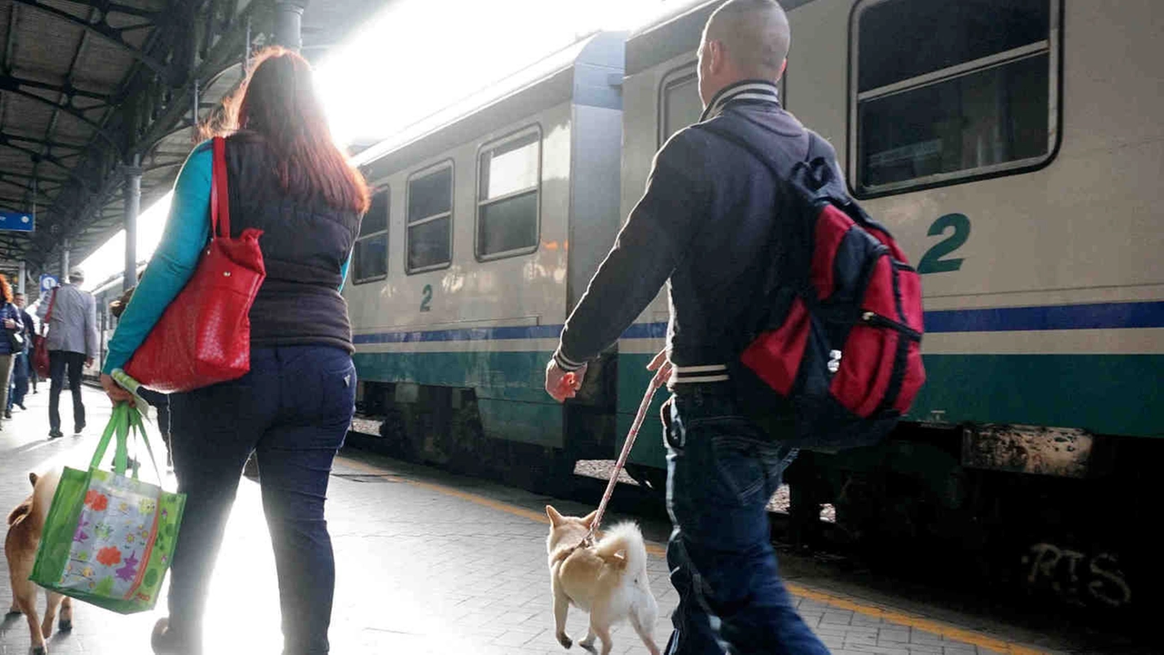 Stazione (foto Castellani)