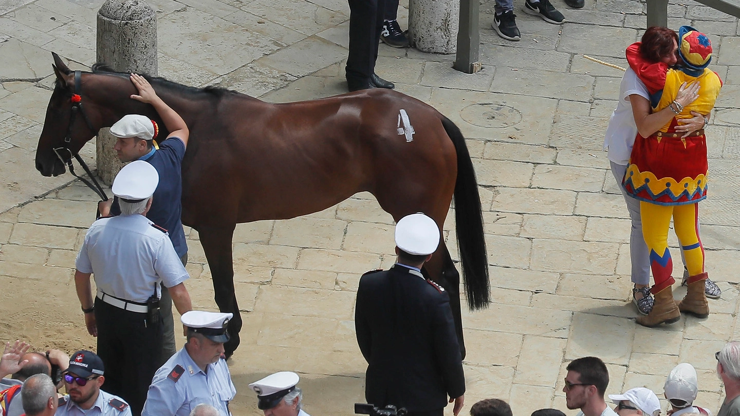 Palio, un momento dell'assegnazione cavalli-contrade (foto Lazzeroni)