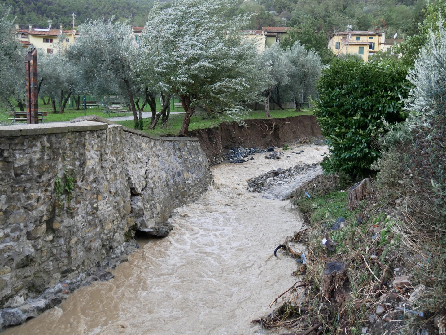 immagine di sfondo 5