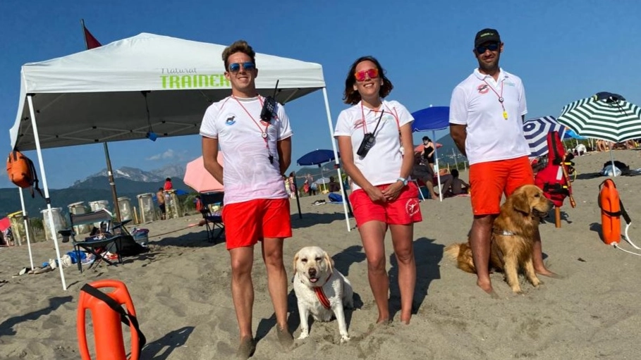 Cani bagnino sulla spiaggia libera di Ponente a Forte dei Marmi