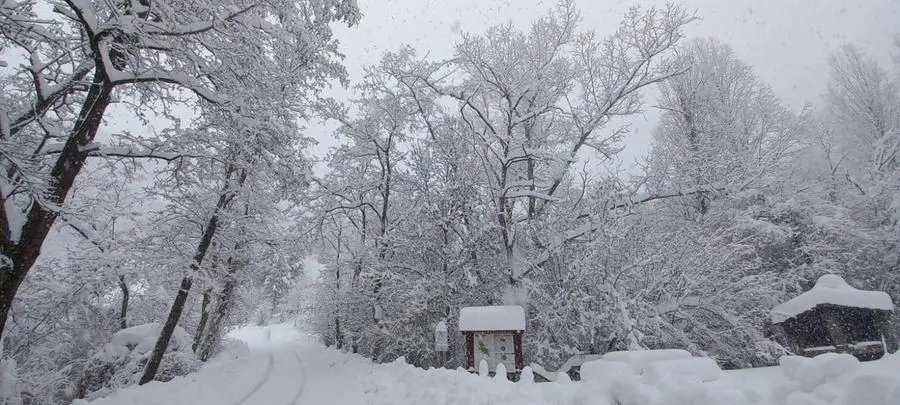 Neve in Toscana, tra scuole chiuse e divieti in autostrada