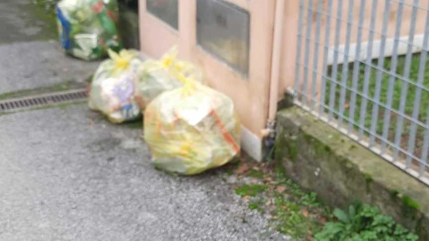 Rifiuti, il ritiro anticipato fa flop. Sacchi di plastica per le strade