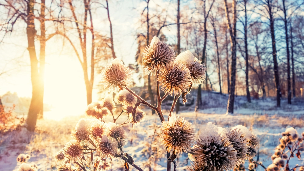 Tornano freddo e neve