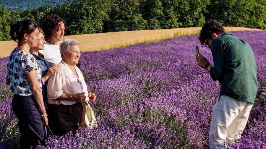 Il progetto ’La Valle dei profumi’ spopola a colpi di selfie tra emozioni, relax e condivisioni sul web. Così il mare viola ha saputo richiamare turisti da ogni angolo. E ora il modello sta facendo scuola