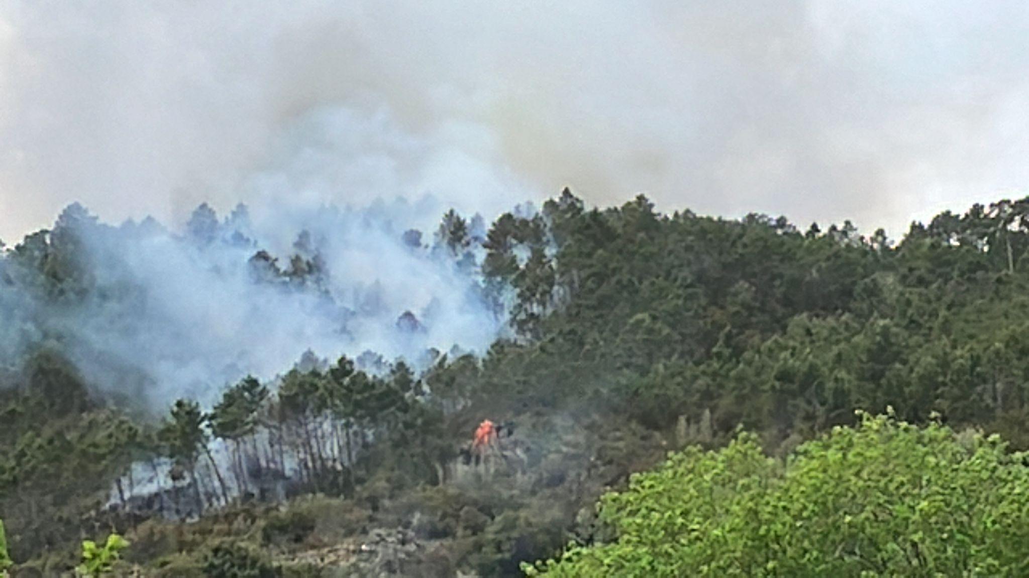 Scoppia Incendio Nei Boschi Di Calci