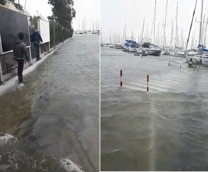 Maltempo in Maremma, gravi danni: un lunedì nero tra alberi caduti e mareggiate