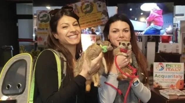 "Esotika Pet Show", c’è il salone nazionale. Una grande festa per gli appassionati