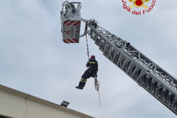 L'intervento dei vigili del fuoco