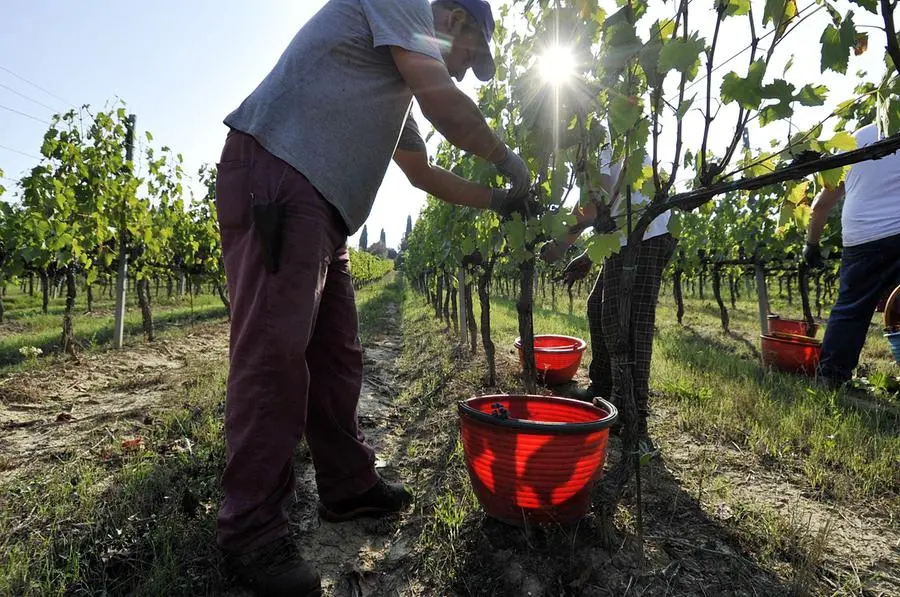 Siena, al via i gruppi per il tavolo contro lo sfruttamento sul lavoro