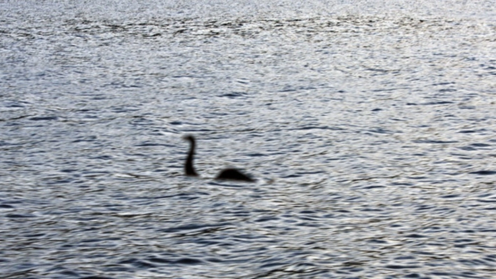  Il mostro di Loch Ness (foto Ansa) 