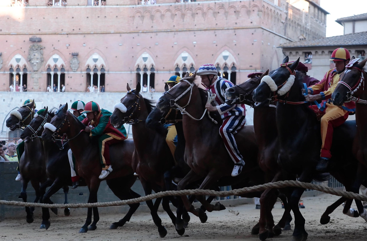 immagine di sfondo 14