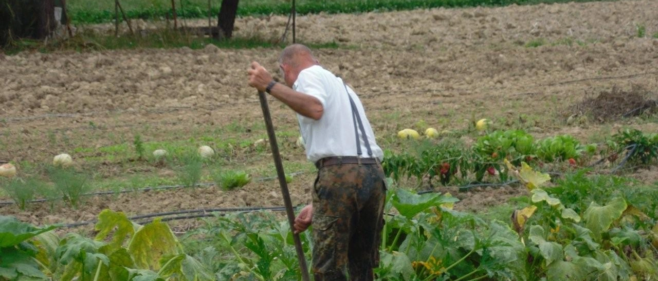 "L'agricoltura è la carta vincente dei piccoli comuni della Valdera"