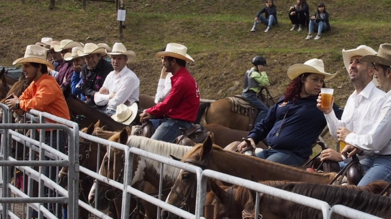  In Lunigiana allevano il cavallo di Comano, una razza caratteristica  del nostro territorio (foto di repertorio)