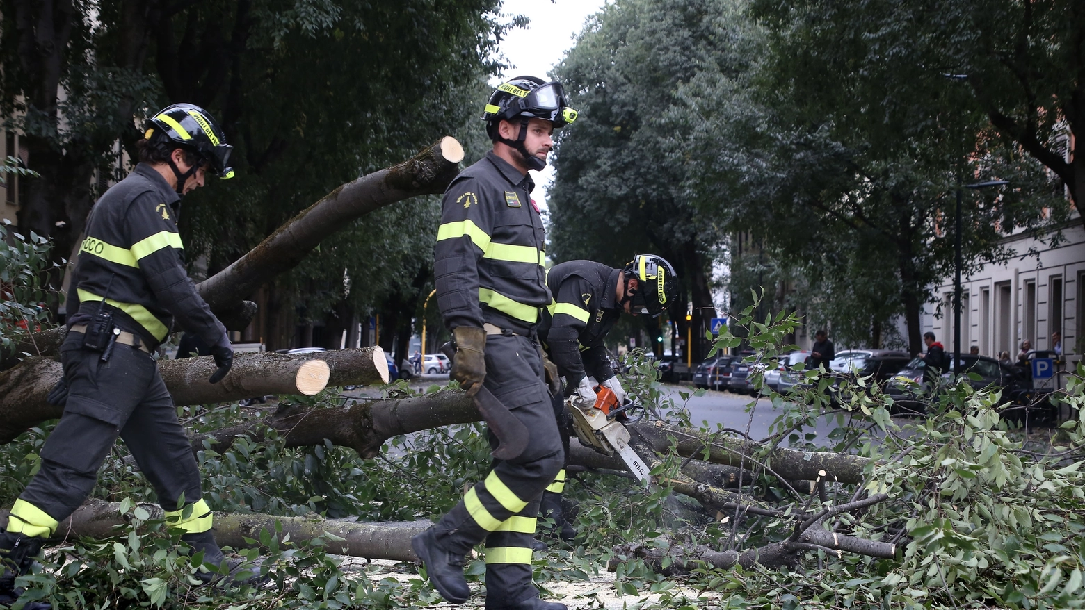 L'albero caduto a Firenze sui viali (New Press Photo)