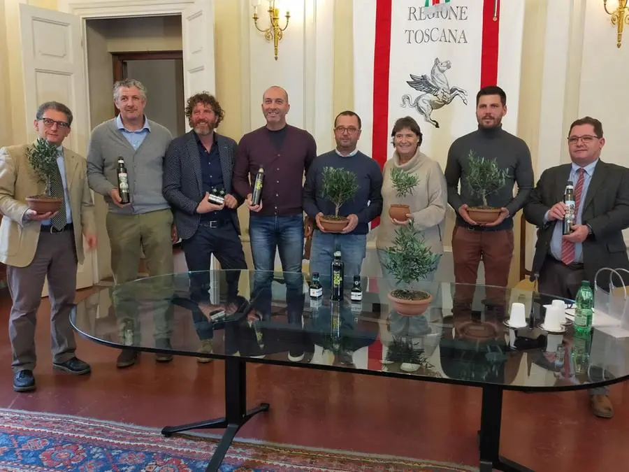 Olio in Toscana, la stagione 2022: "Alta qualità, produzione stabile"