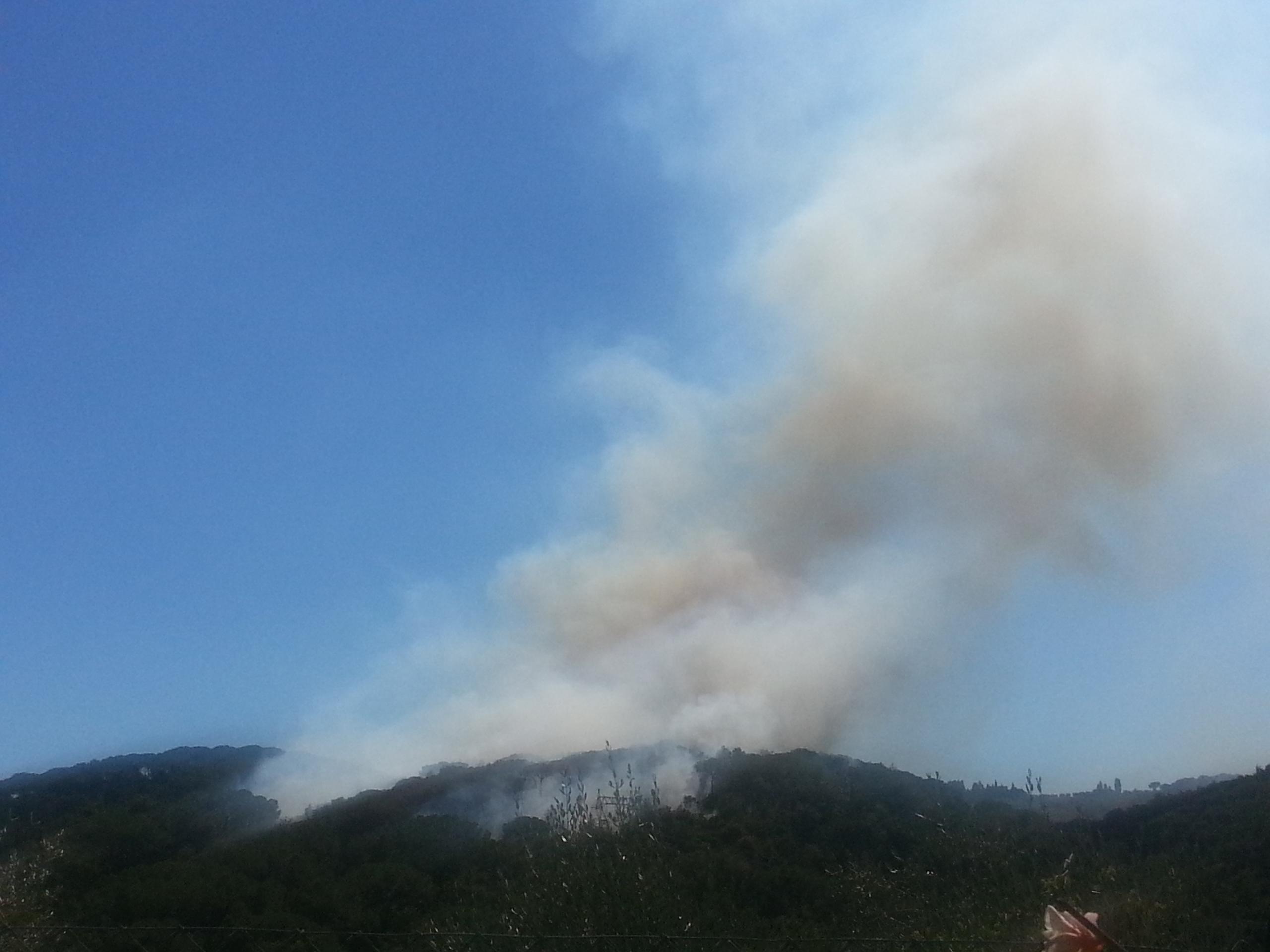 Maxi Incendio Brucia Bosco A Scandicci Foto