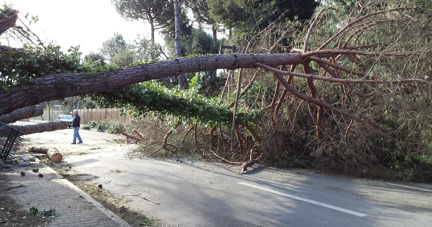 Tempesta Di Tramontana Paura Danni E Allarme Eternit