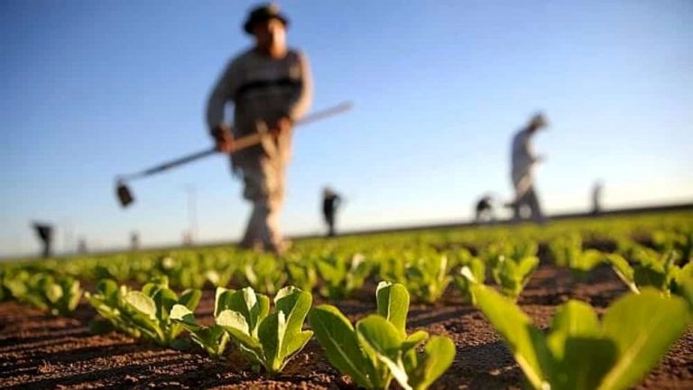 Coldiretti sul costo delle bollette: "si aggrava la situazione per 20.000 imprese"