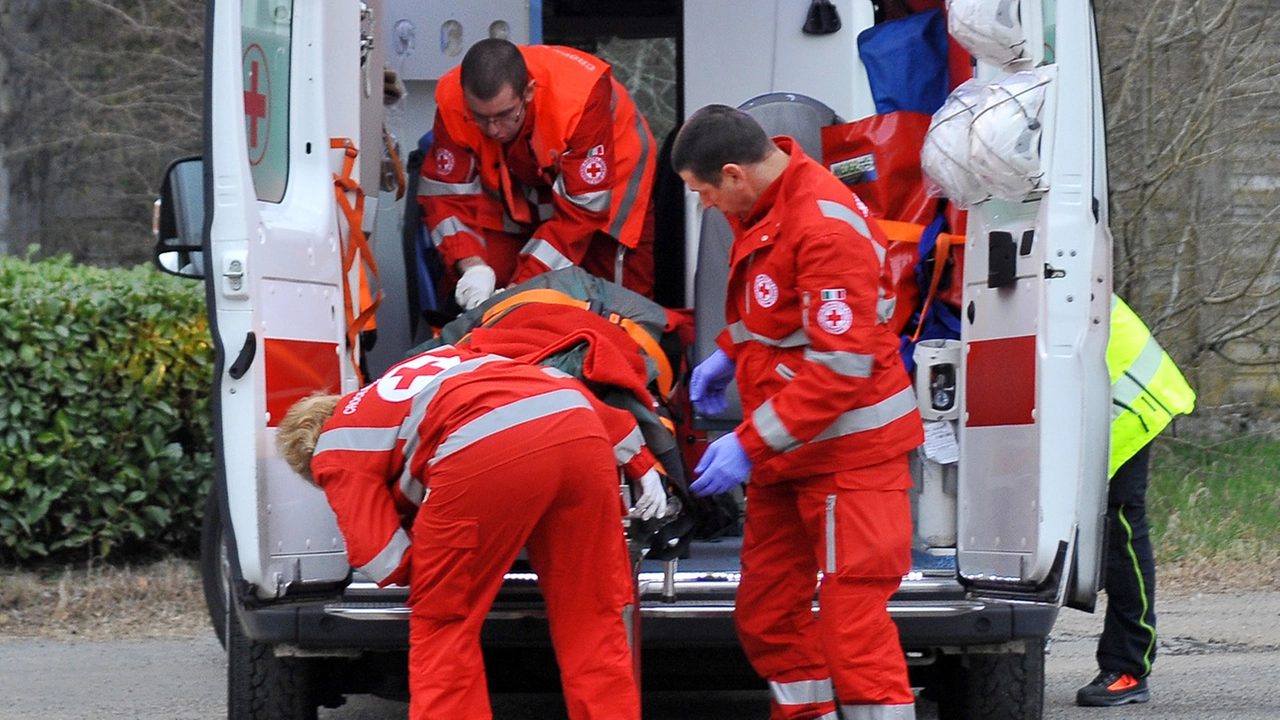 Il ragazzino è stato trasportato al pronto soccorso; nel riquadro un dogo argentino