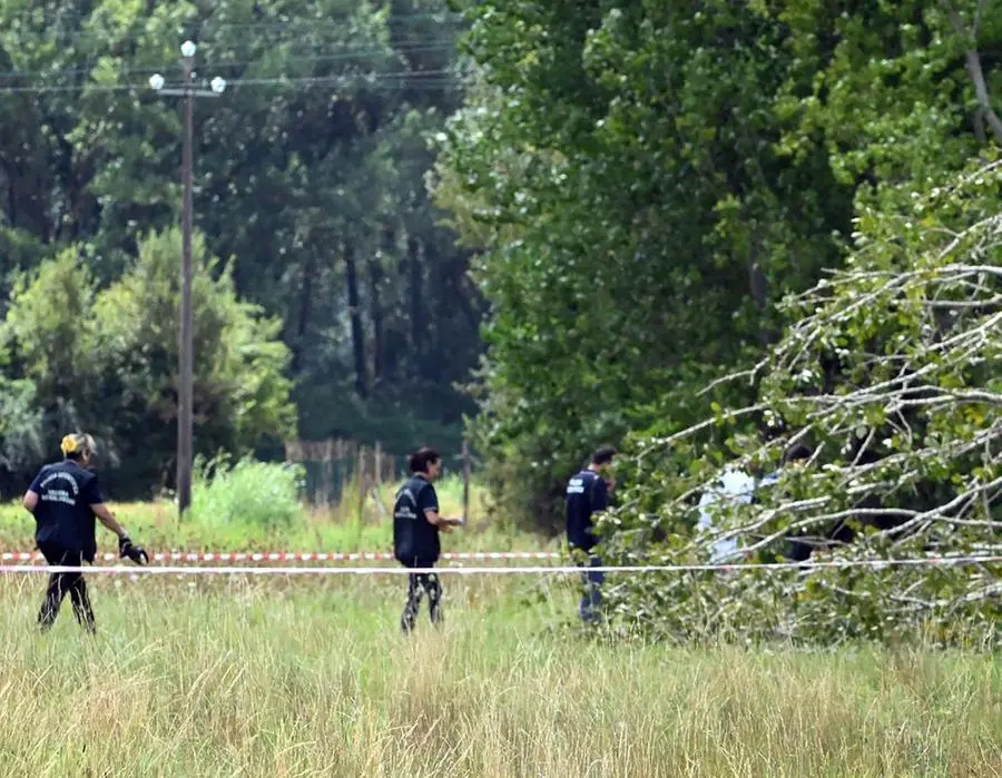 Morto schiacciato da un albero. Per l’Asl è un incidente sul lavoro