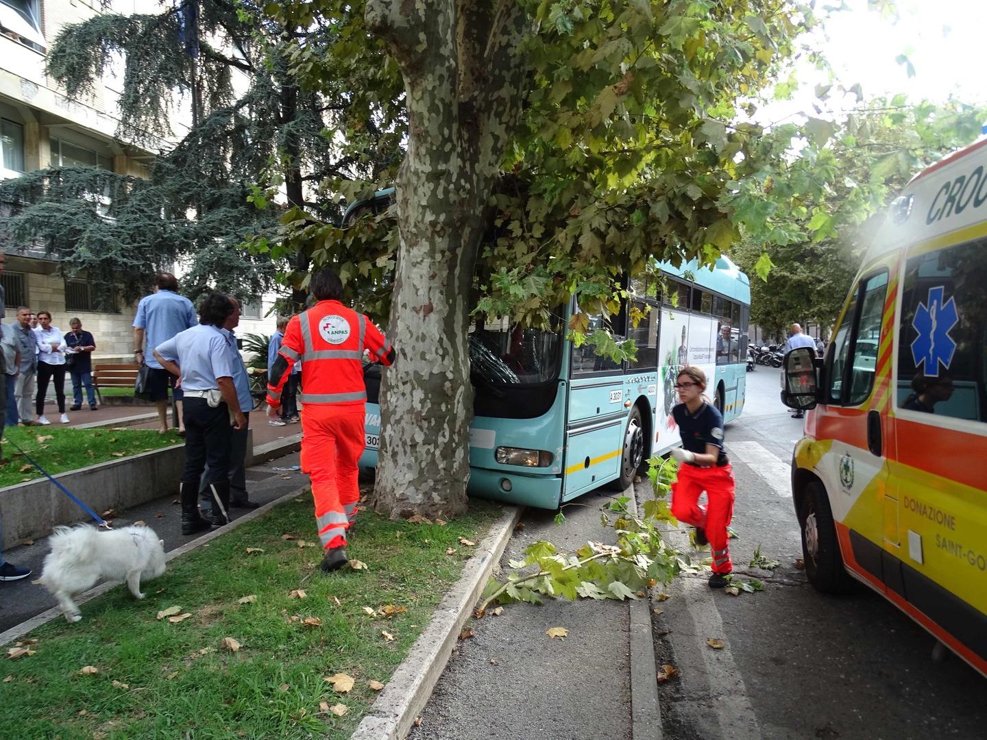 Malore Alla Guida Del Bus Autista Salvato Dal Defibrillatore