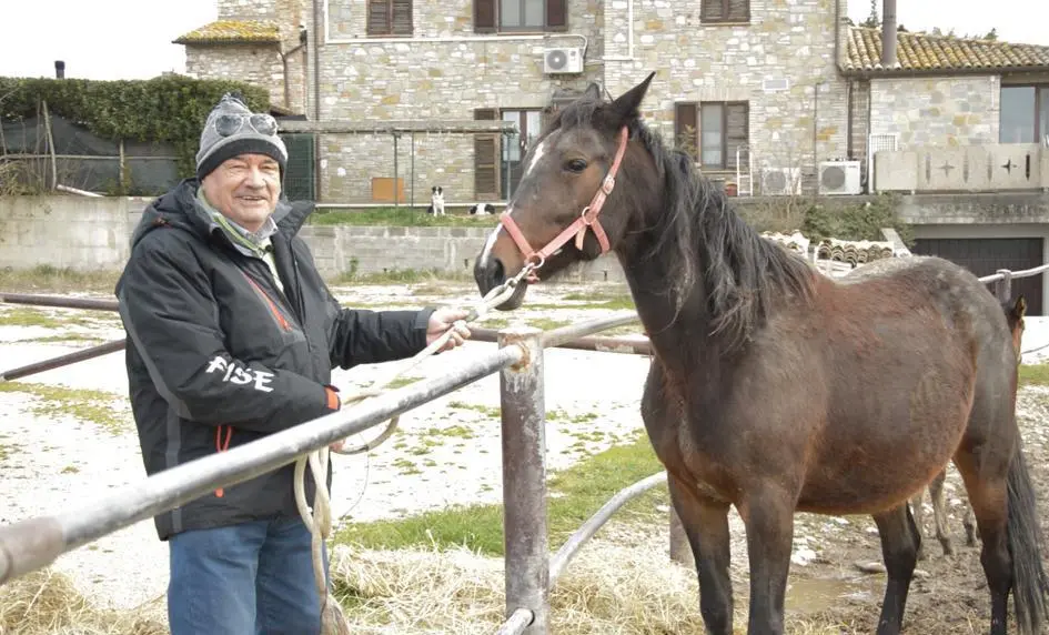 Appello ’salvaippica’: "Non lasciateci soli"