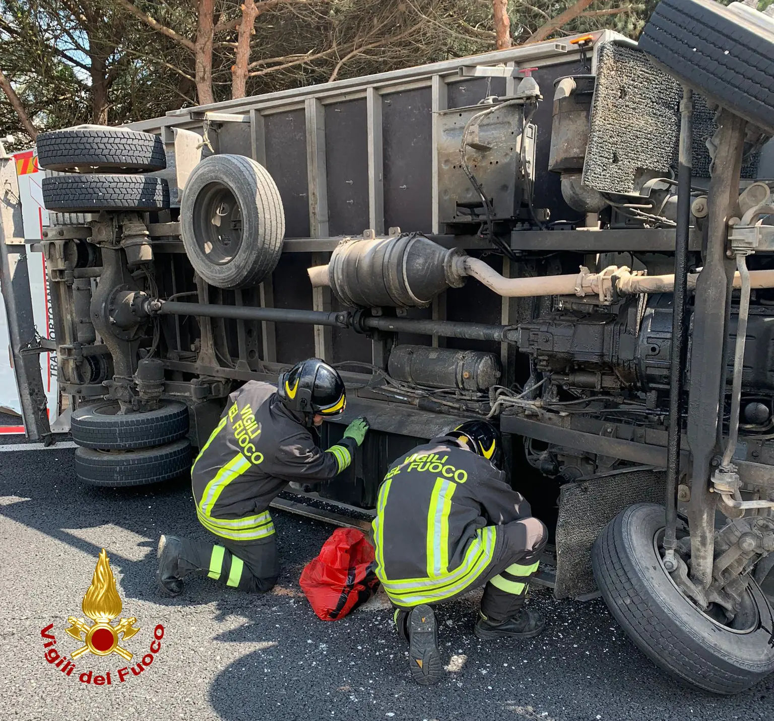 Trasporti, Giornata Nera: Camion Con Un Carico Di Cavalli Si Ribalta ...