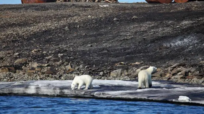 Università: al via la terza edizione del concorso CIRSEC sui cambiamenti climatici