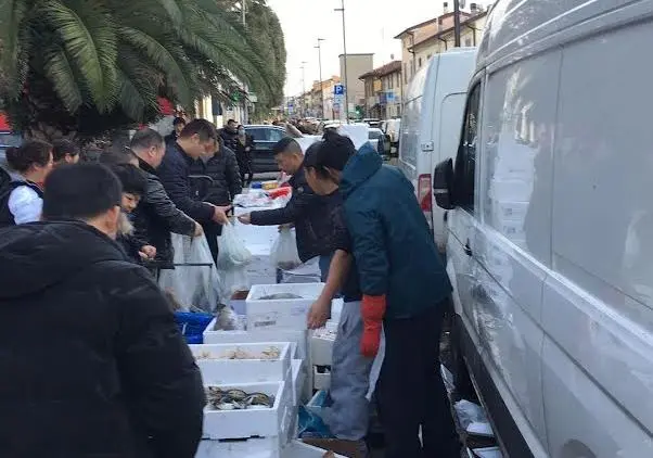 In strada il mercato del pesce abusivo. Specie sconosciute e nessuna regola