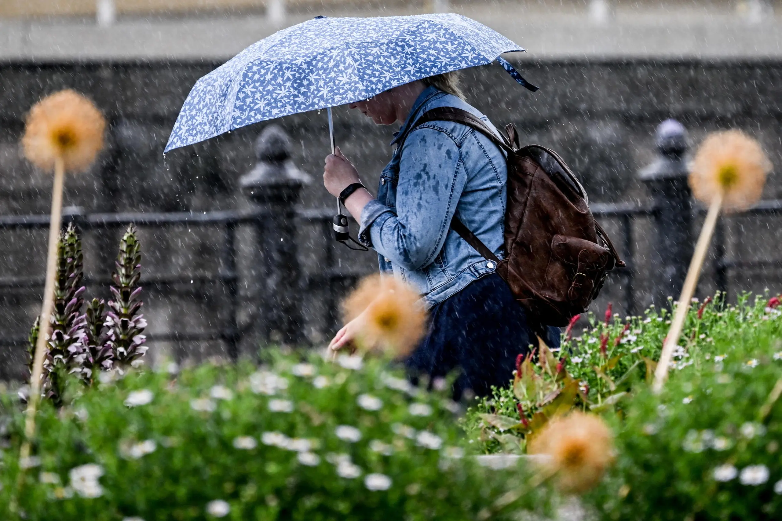 Il caldo afoso ha le ore contate . Pioggia e temporali in arrivo