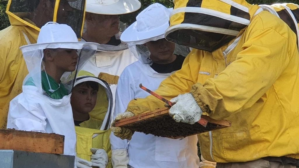 CASCO PER APICOLTURA per Abbigliamento da apicoltore