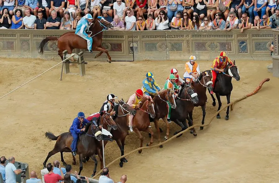 Siena, è il giorno del Palio. Il programma e dove vederlo in tv