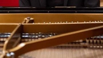 Pietro Bonfilio  suona al Teatro alla Scala