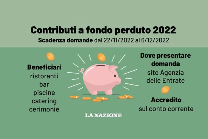 Contributi a fondo perduto 2022, via alle domande