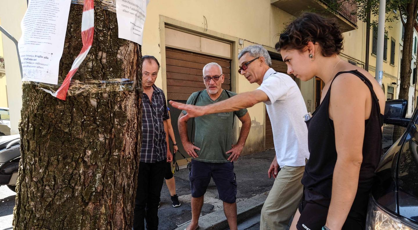 Viale Corsica Si Ribella Gi Le Mani Dai Nostri Alberi Foto