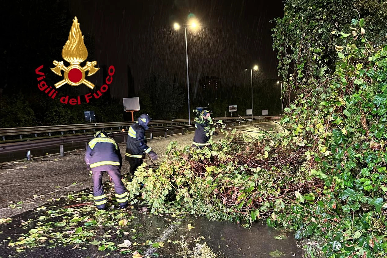 L'albero caduto sul ponte all'Indiano