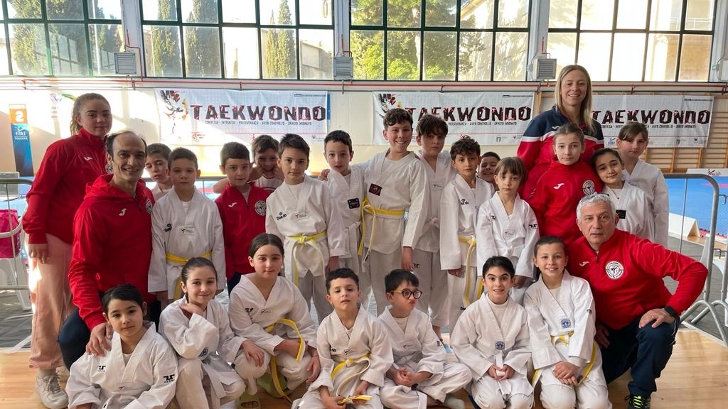 NRGym Taekwondo Arezzo.