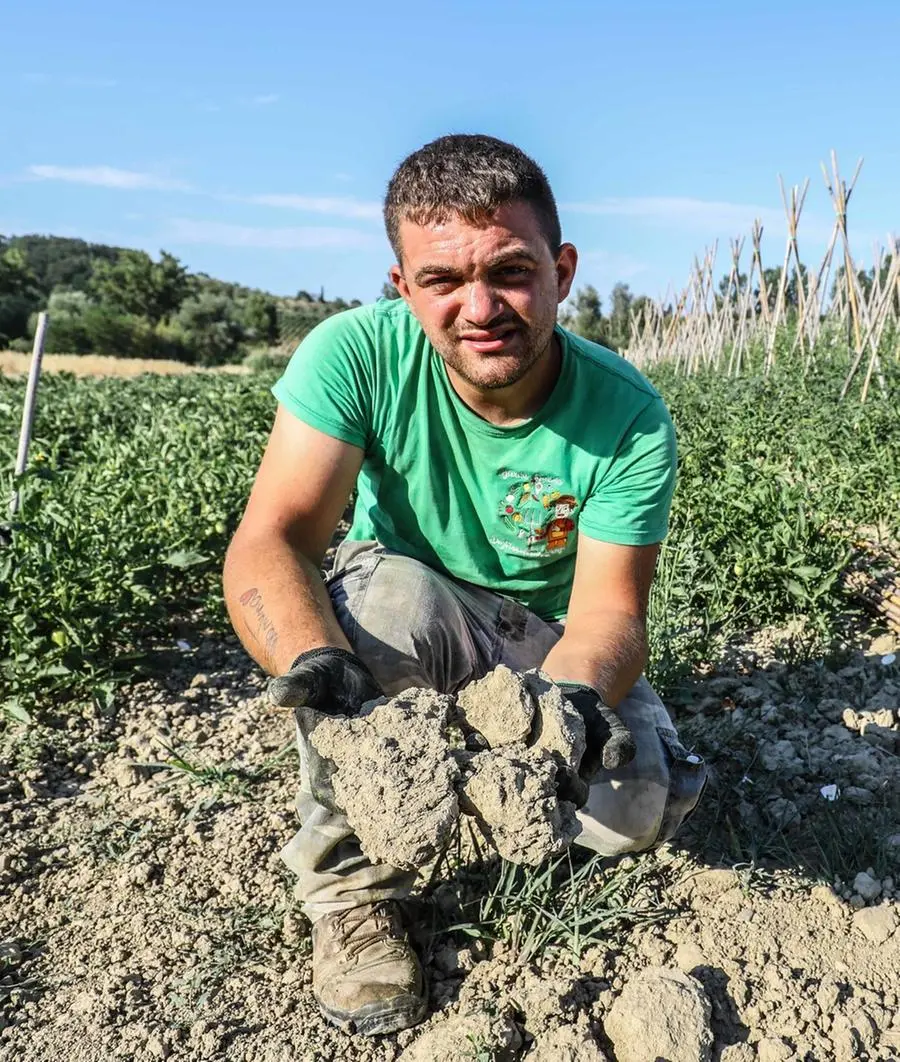 Pistoia: siccità, guerra e rincari in bolletta. "Agricoltura in crisi, reggono i vivai"