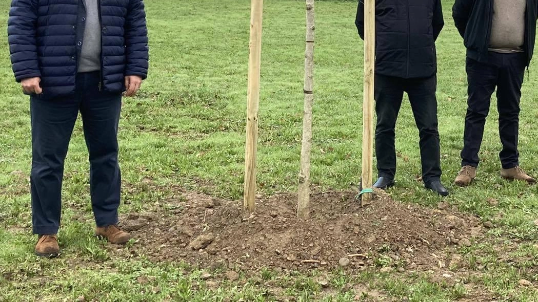 Parte la sfida all’inquinamento. Un parco diffuso di quasi 400 alberi. Dove saranno piantati in paese