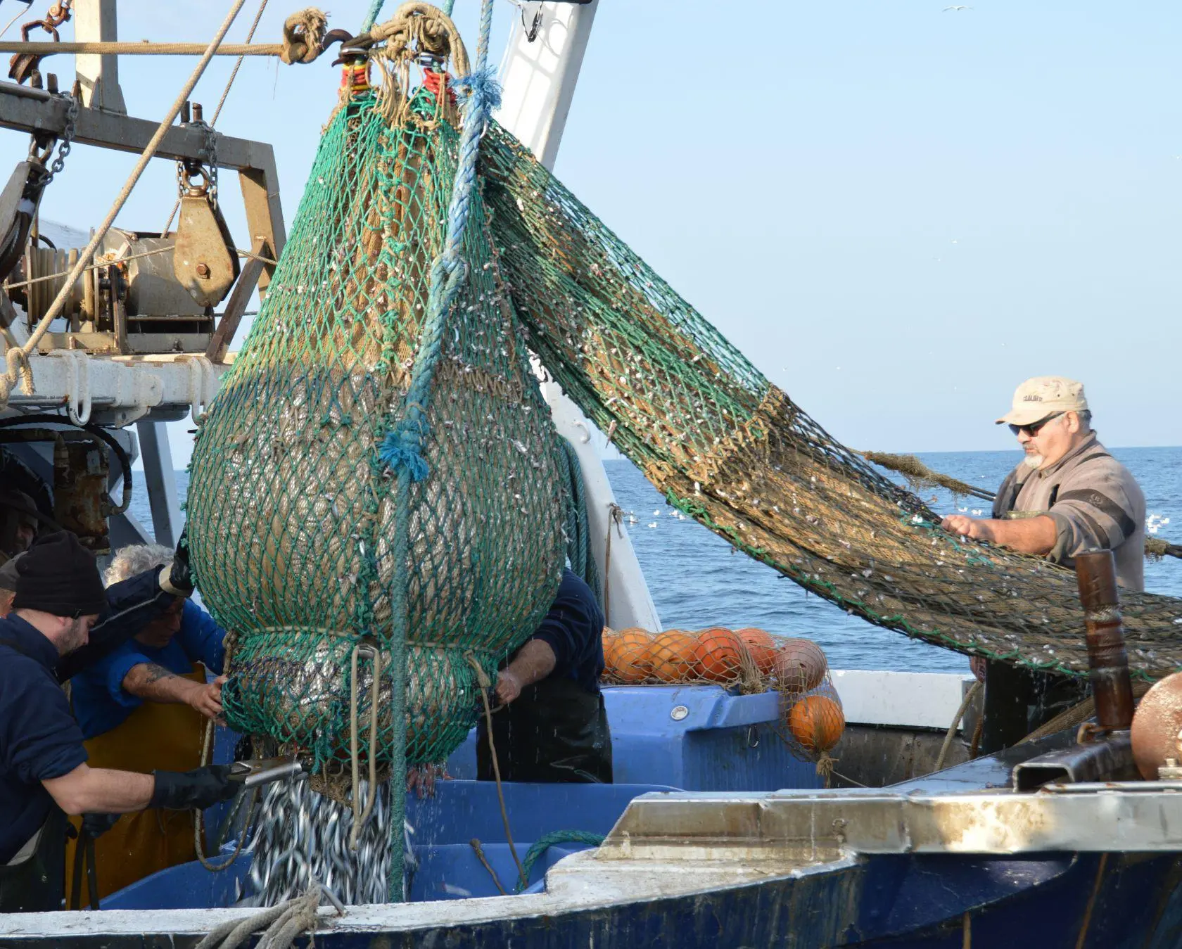 "Il Pacchetto pesca europeo va rivisto: è troppo penalizzante"