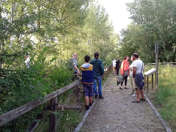 Da Montaione a San Gimignano: doppia escursione con Il paesaggio ritrovato